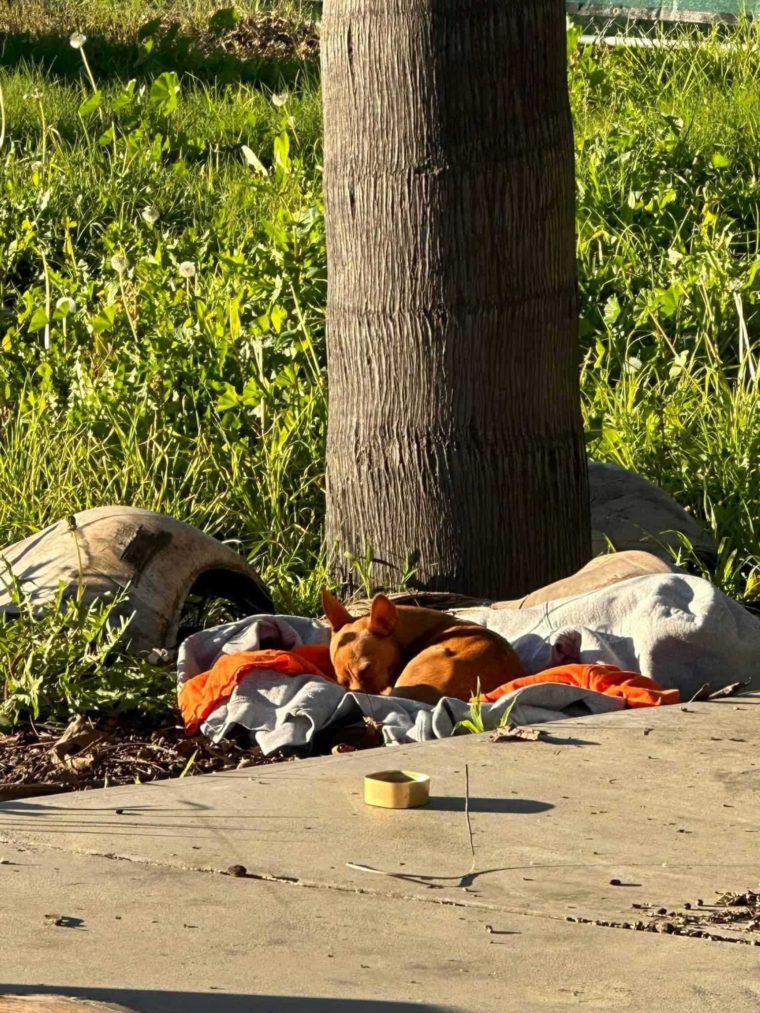 Elliot’s quest for a loving family ultim...