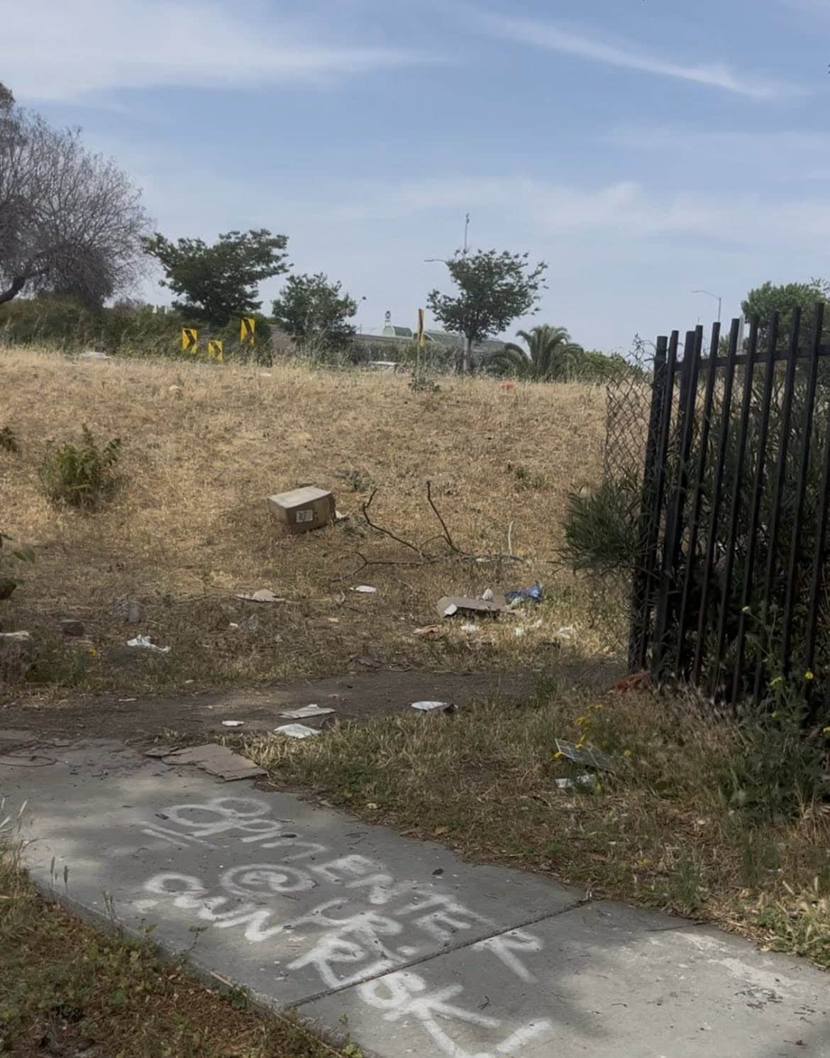 Hall immediately brought her to a veteri...