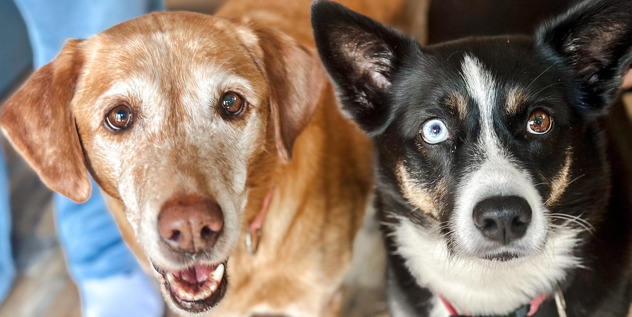 Extra image from article