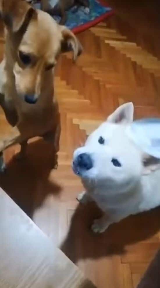 Extra image from article