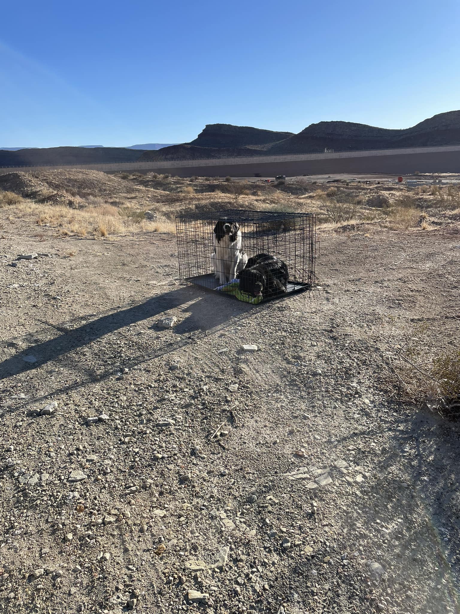 Extra image from article