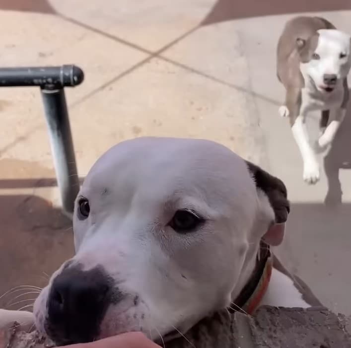 Extra image from article