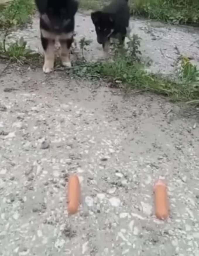 Extra image from article