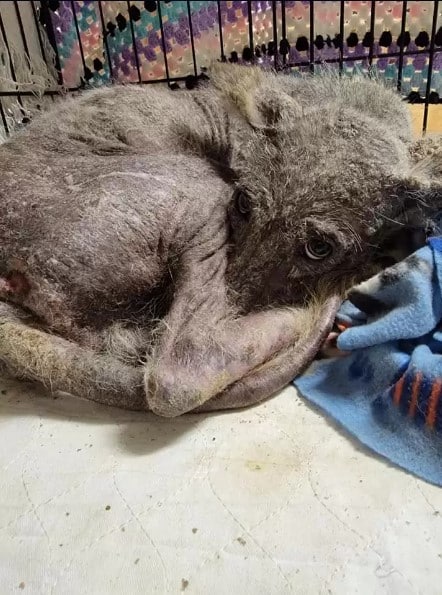 Reflecting on the experience, Christina ...