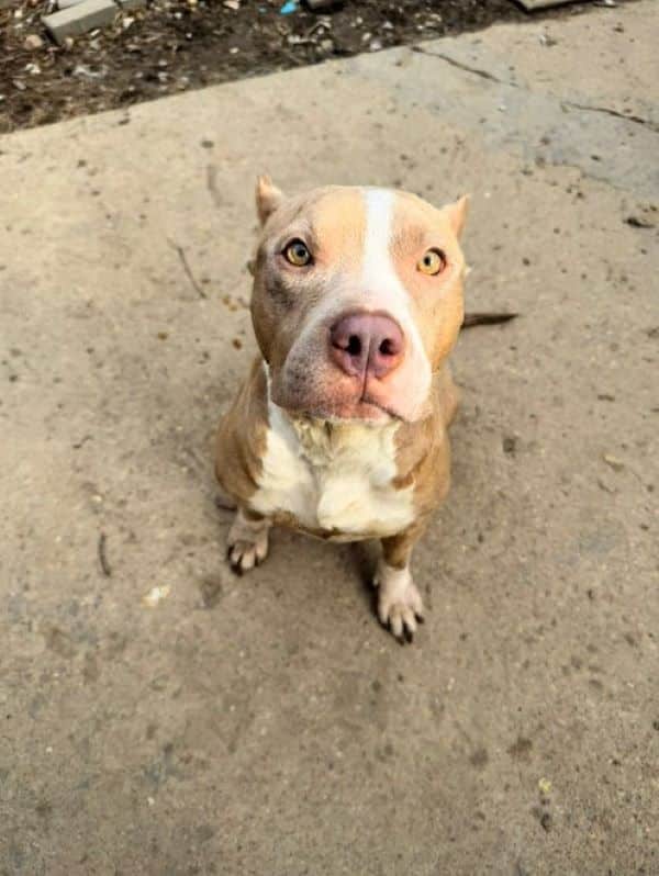 Extra image from article