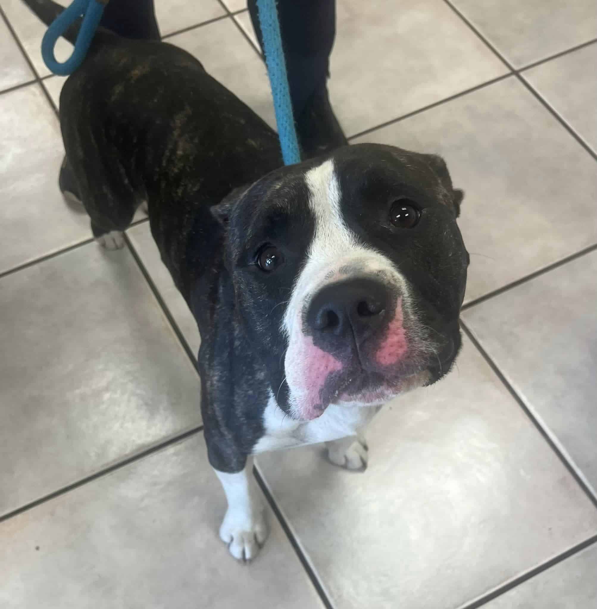 Extra image from article