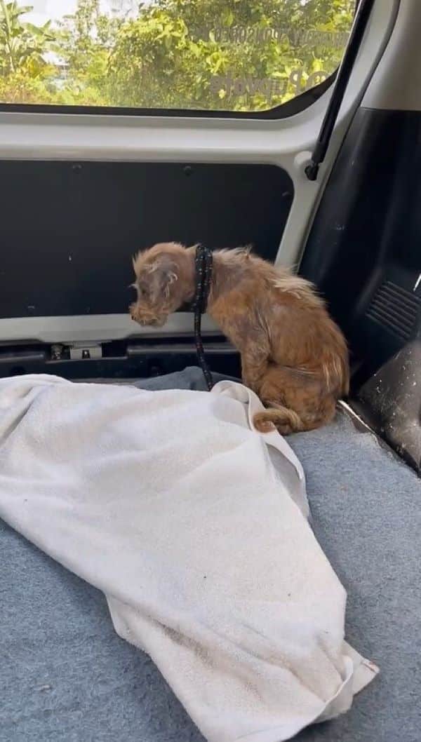 Extra image from article