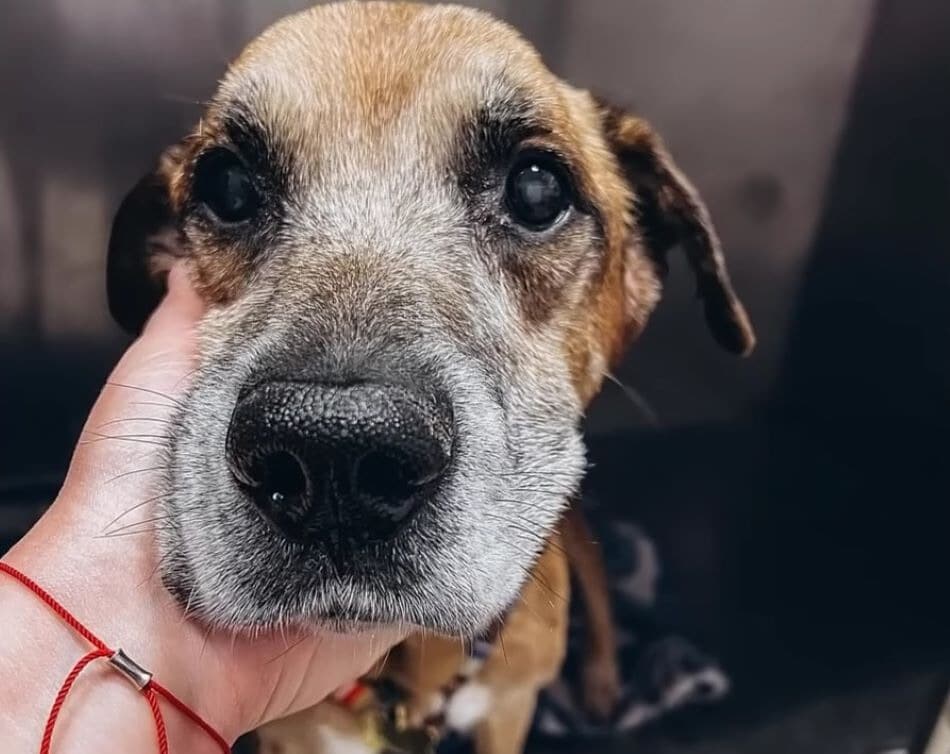 Extra image from article