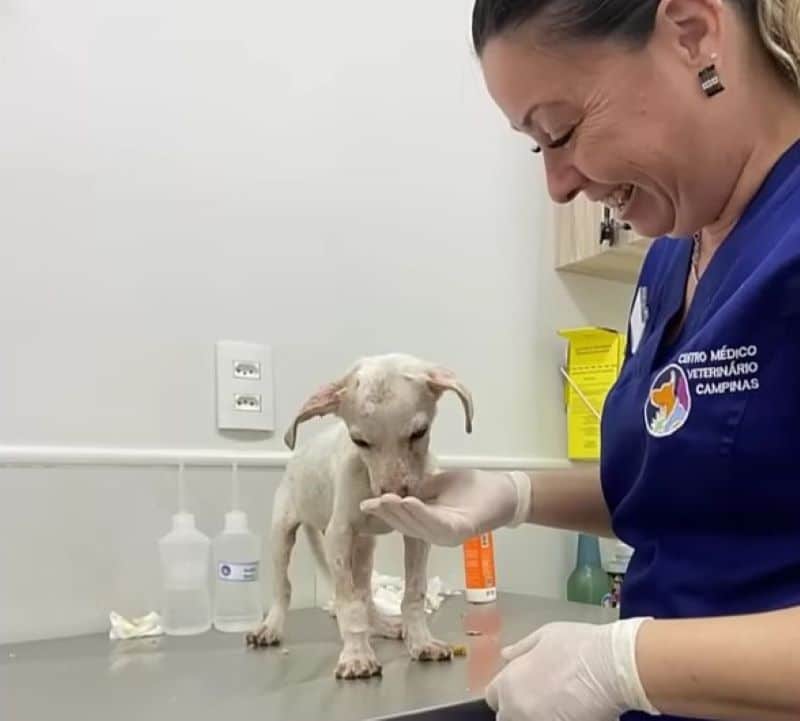 Extra image from article