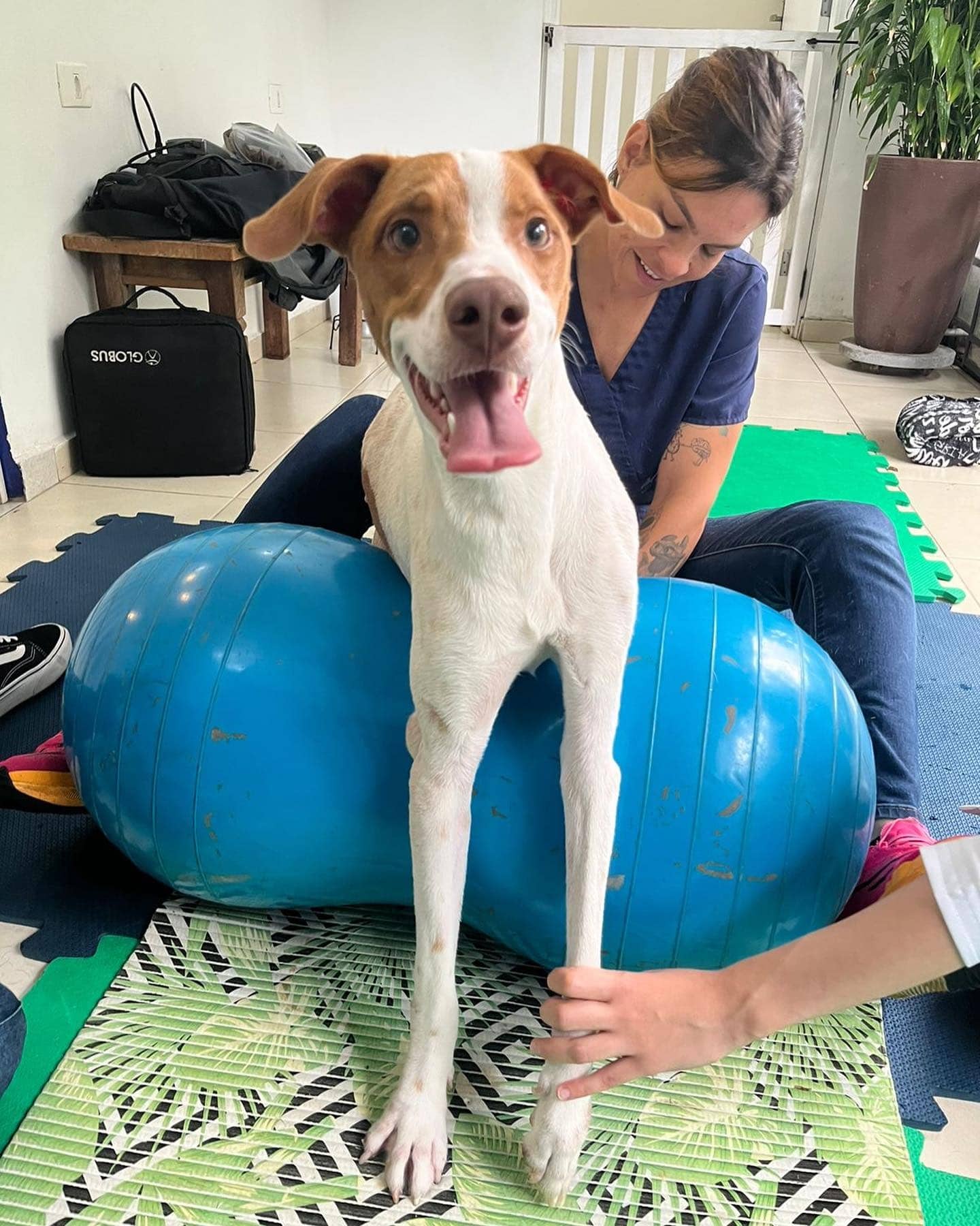 Extra image from article