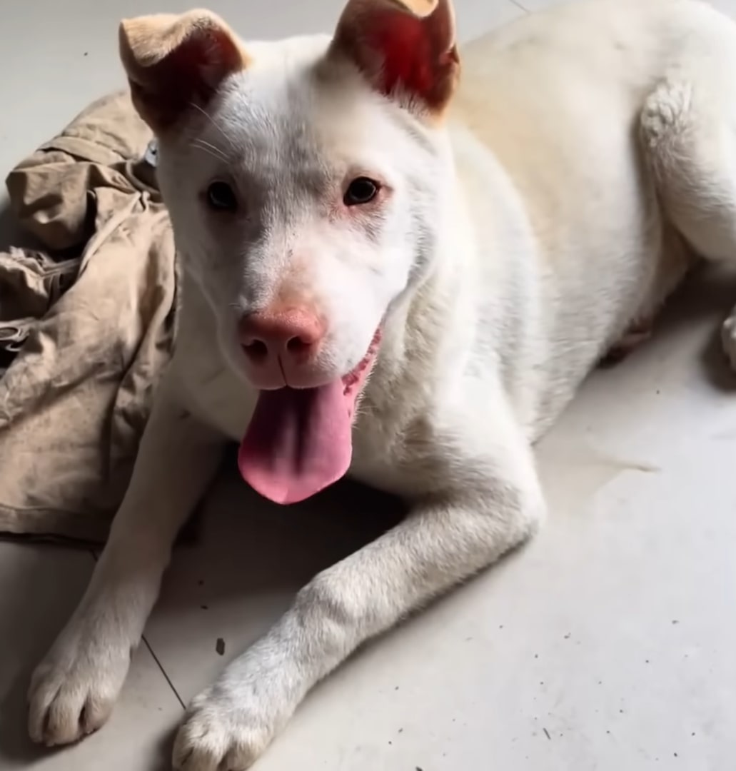 Extra image from article