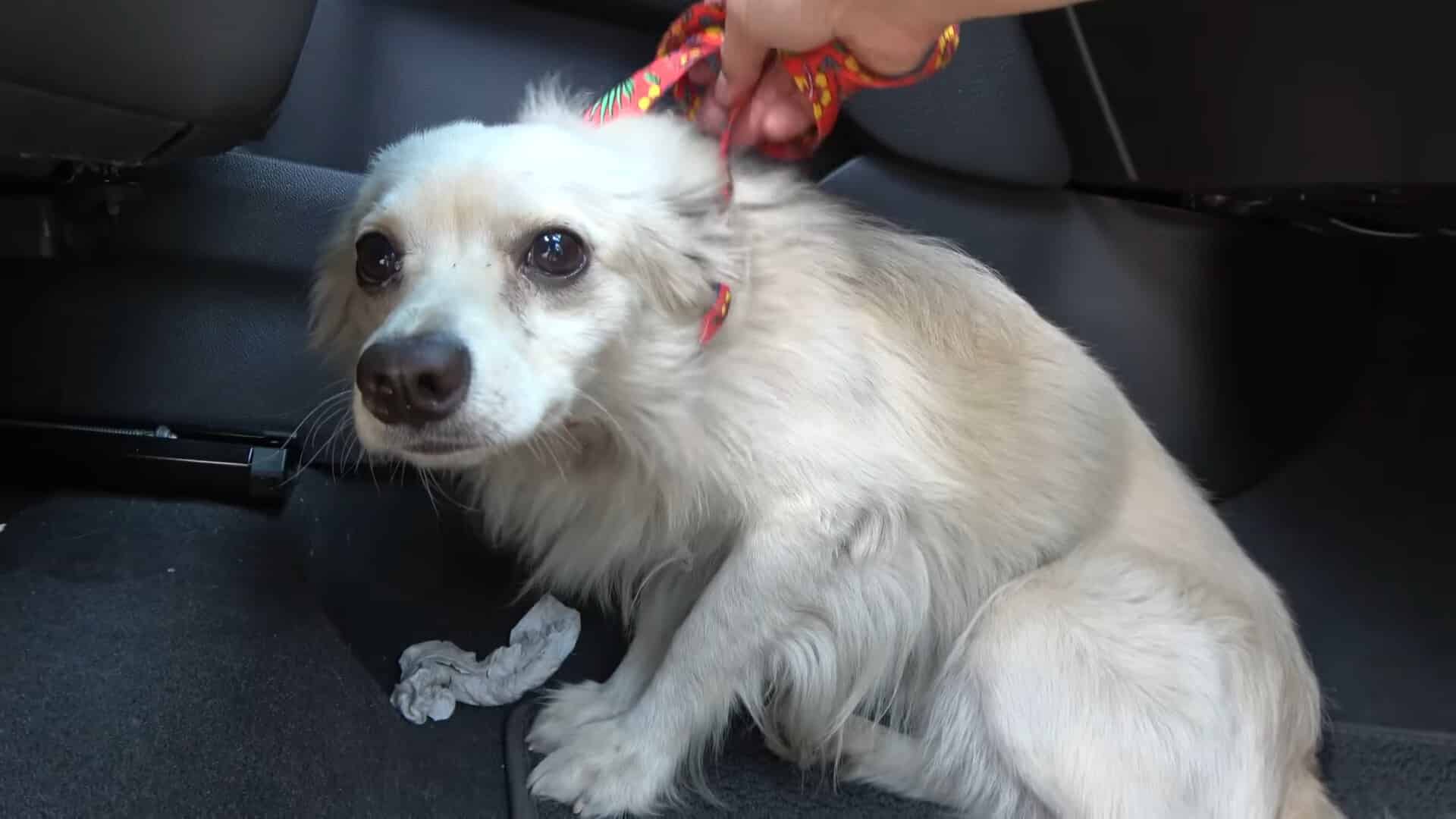 Extra image from article