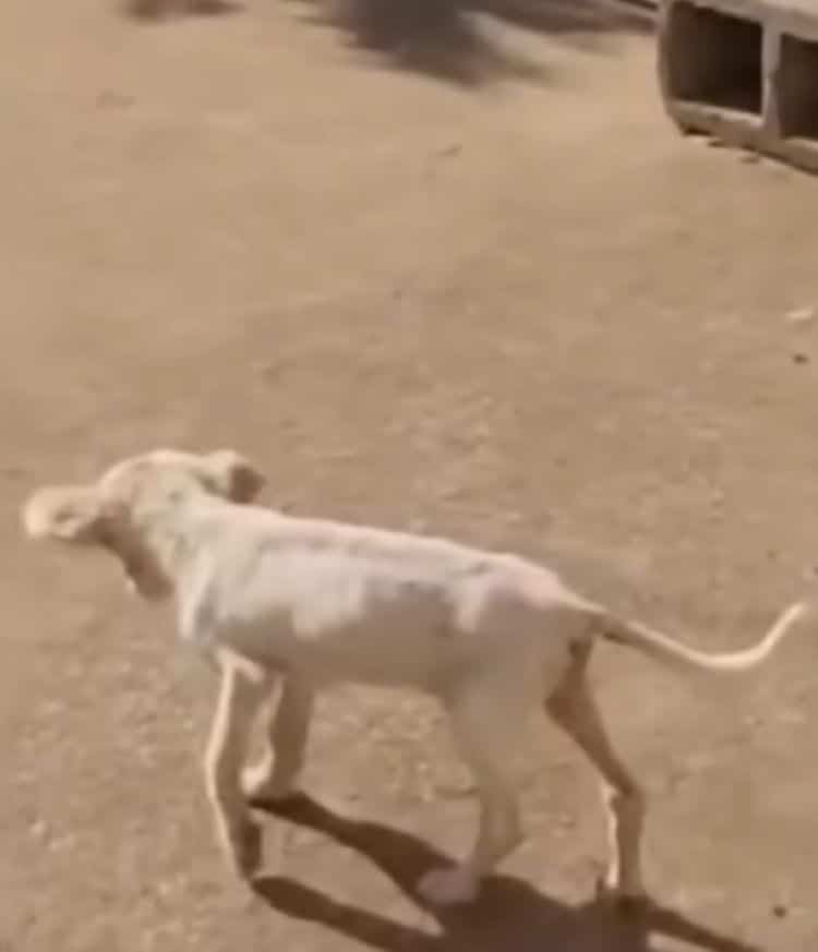 Prepared to leave the clinic, Valentine ...