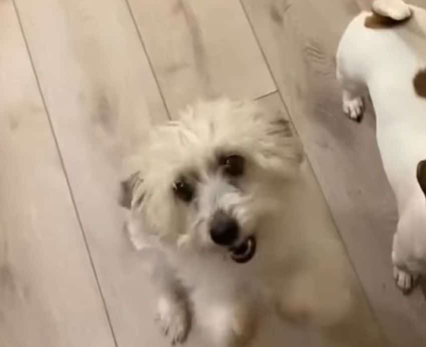 Extra image from article