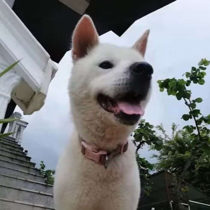 Extra image from article