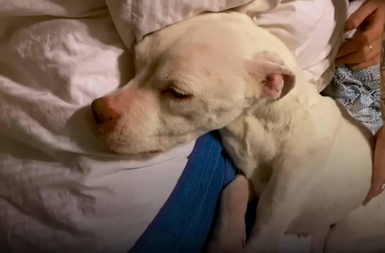 Extra image from article