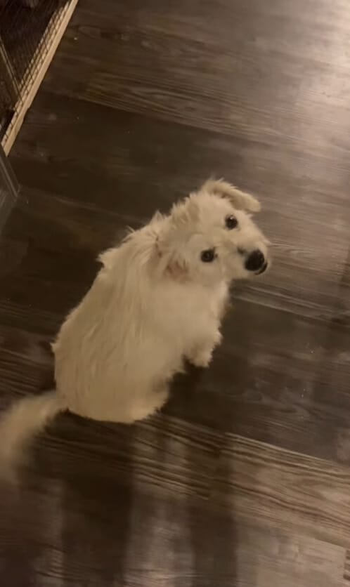 Extra image from article