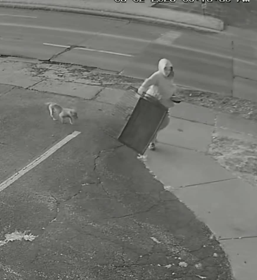 Extra image from article