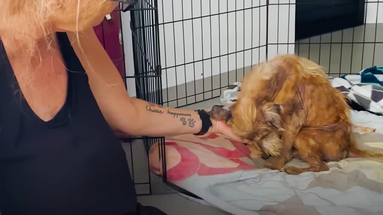 Extra image from article