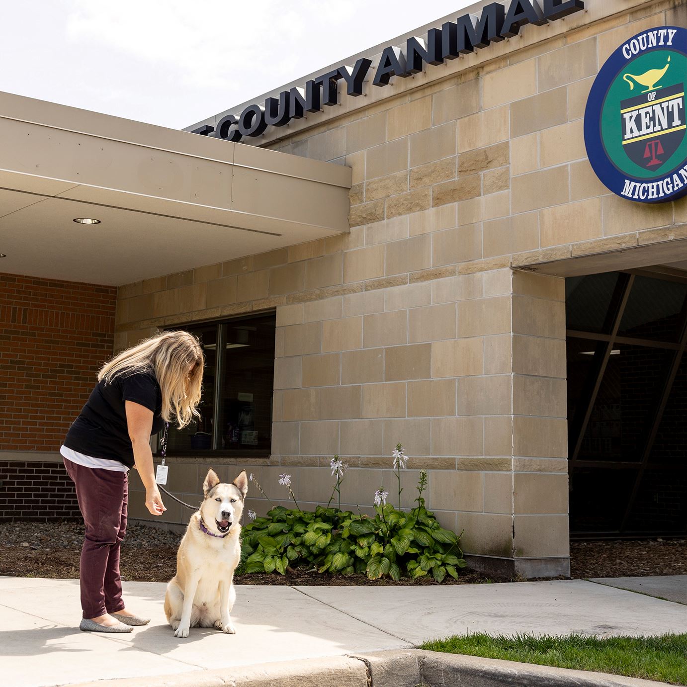 Extra image from article