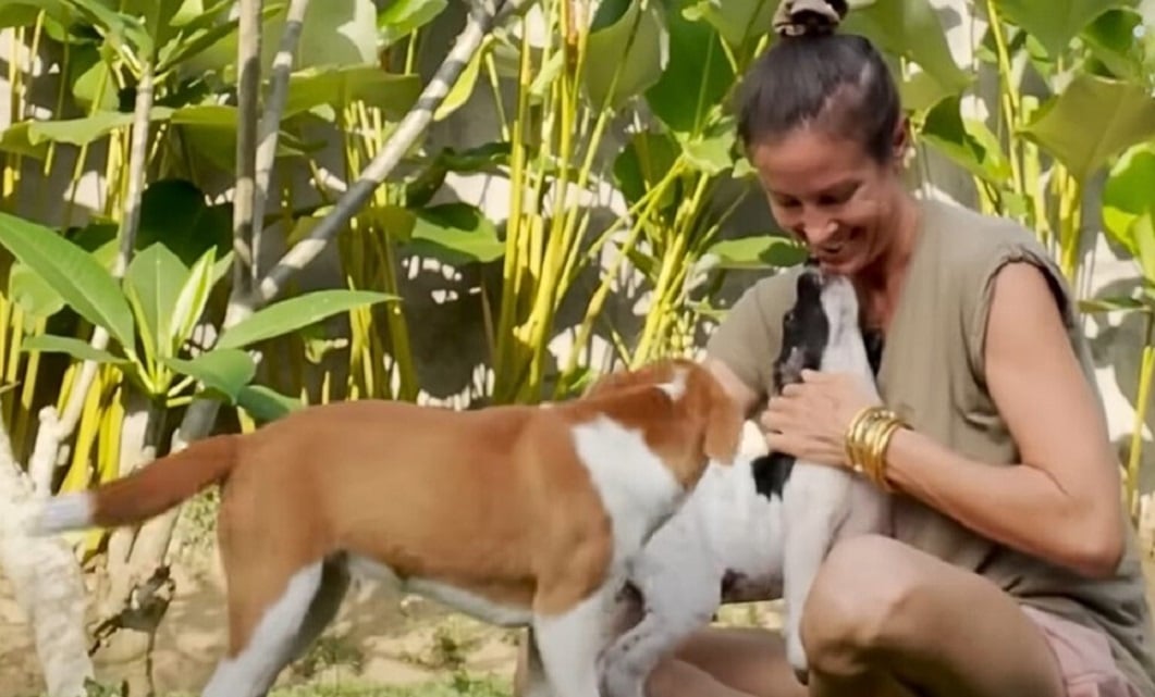 Extra image from article