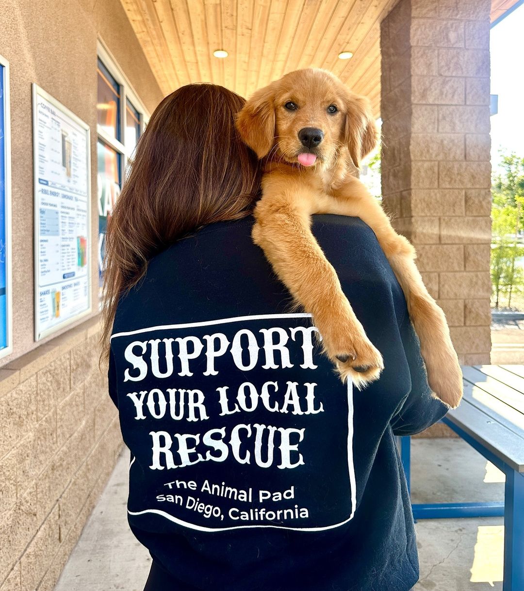 Extra image from article