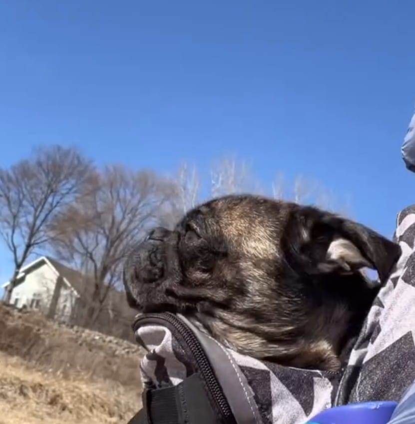 Extra image from article