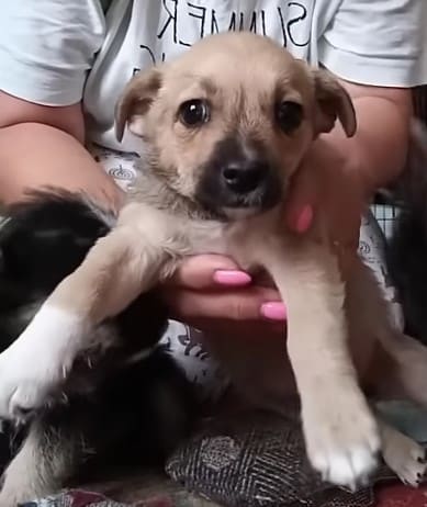 Extra image from article