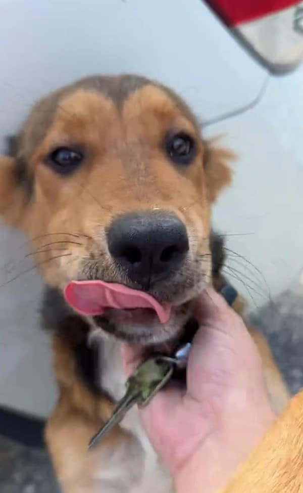 Extra image from article