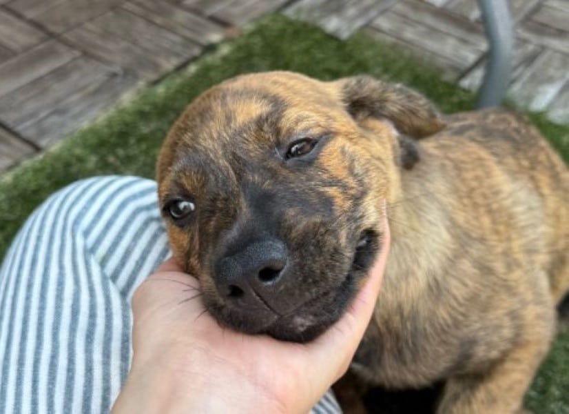 Extra image from article