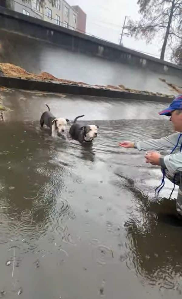 Extra image from article