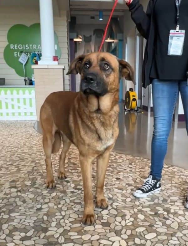 Extra image from article