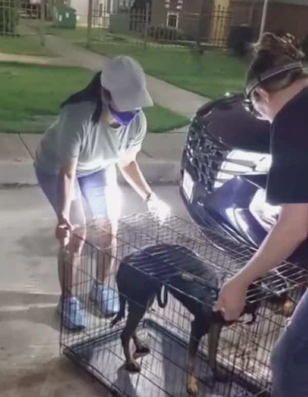 Extra image from article