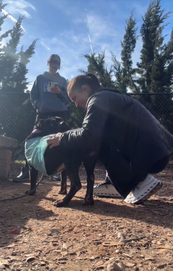 Extra image from article