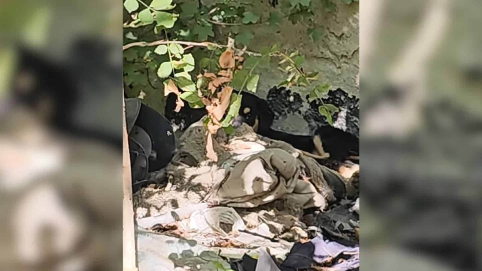 In search of relief from the sweltering ...