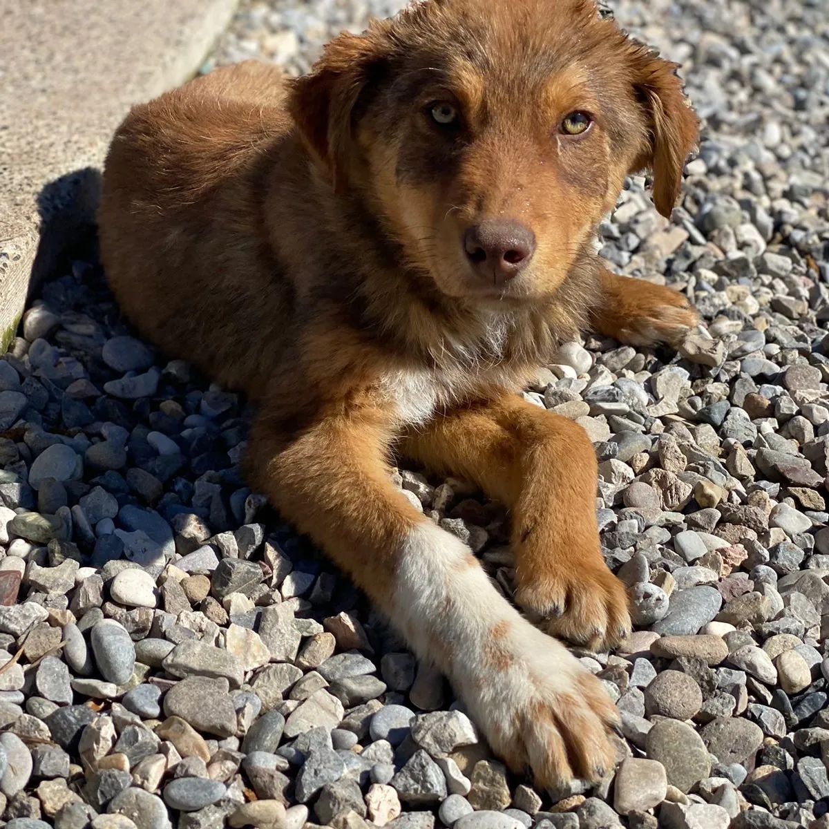 Though sad to leave him, McKenna hoped f...