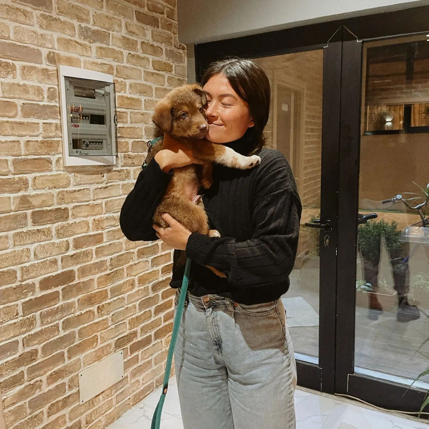 When Blue arrived at his new home, he wa...