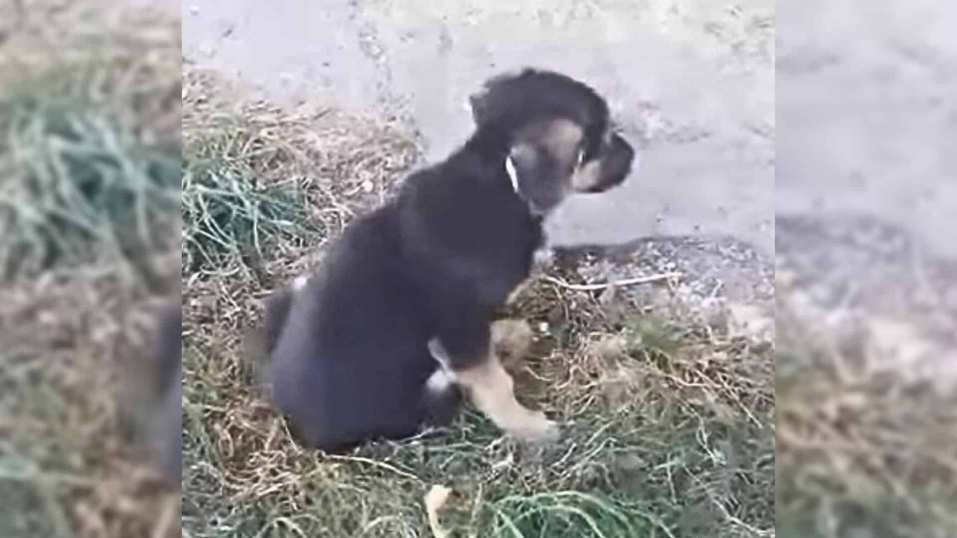 One such story unfolded when a compassio...