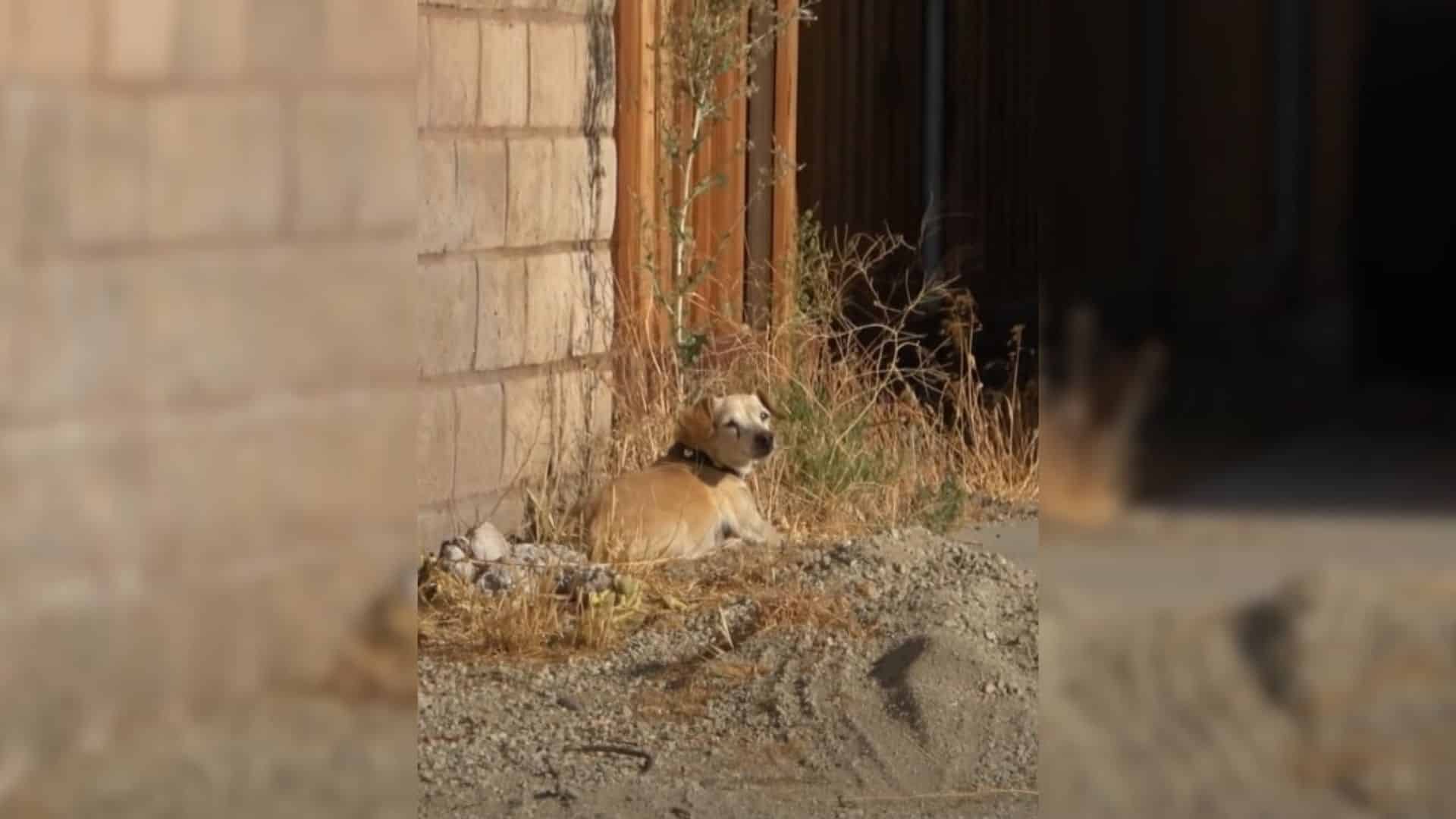 Lambert's world turned upside down when ...