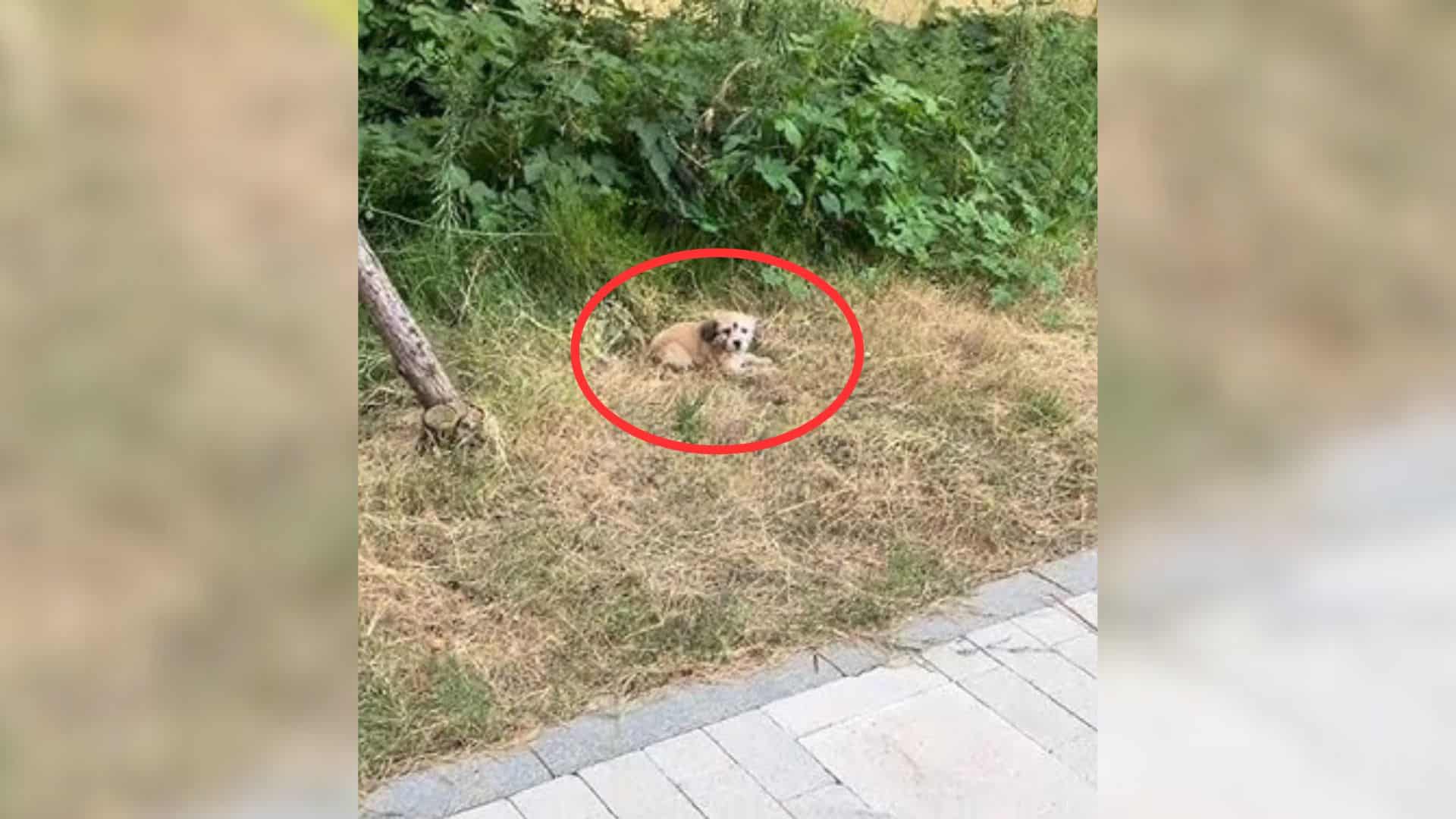 Upon closer inspection, they discovered ...