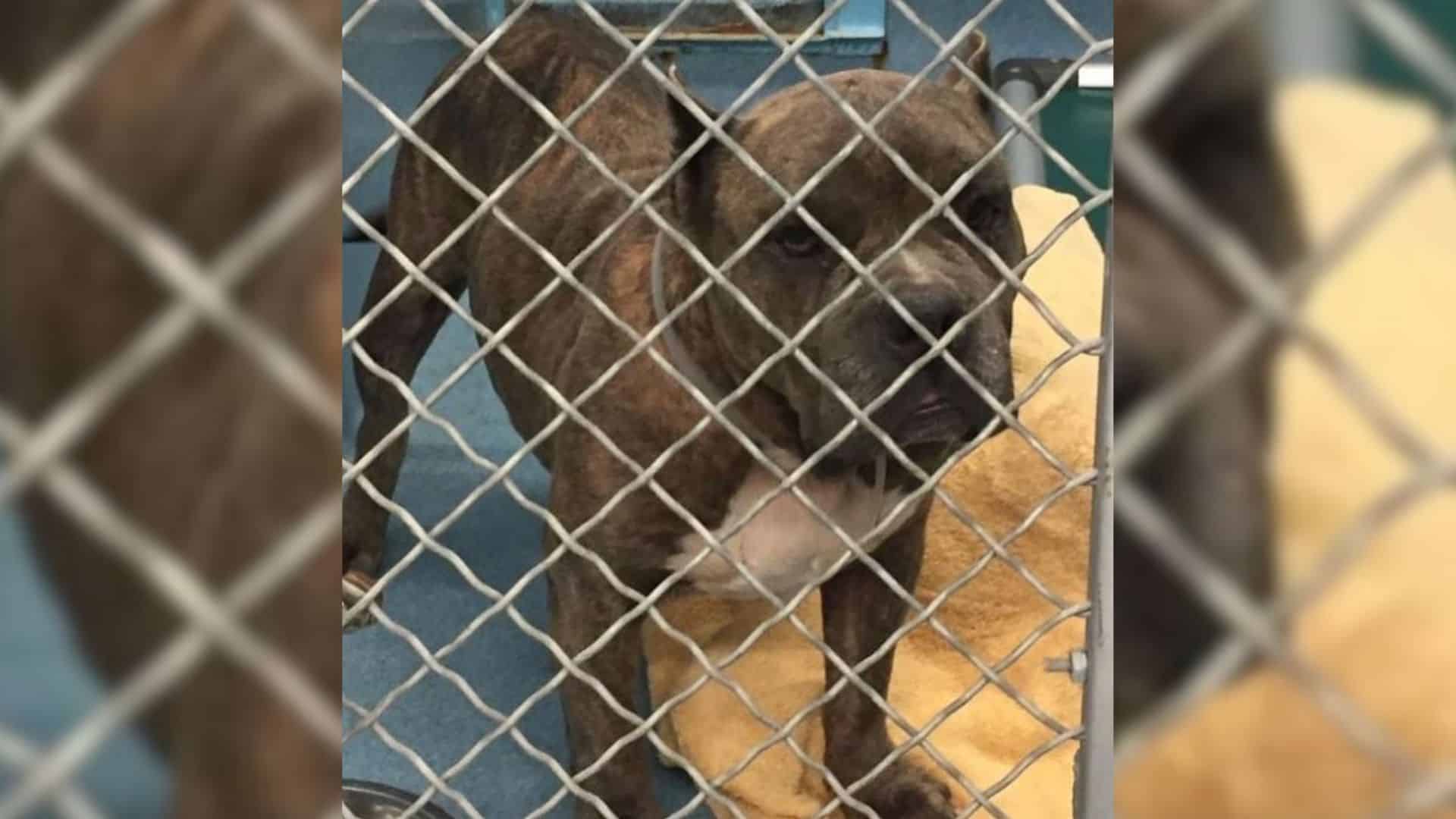 Fortunately, compassionate bystanders di...