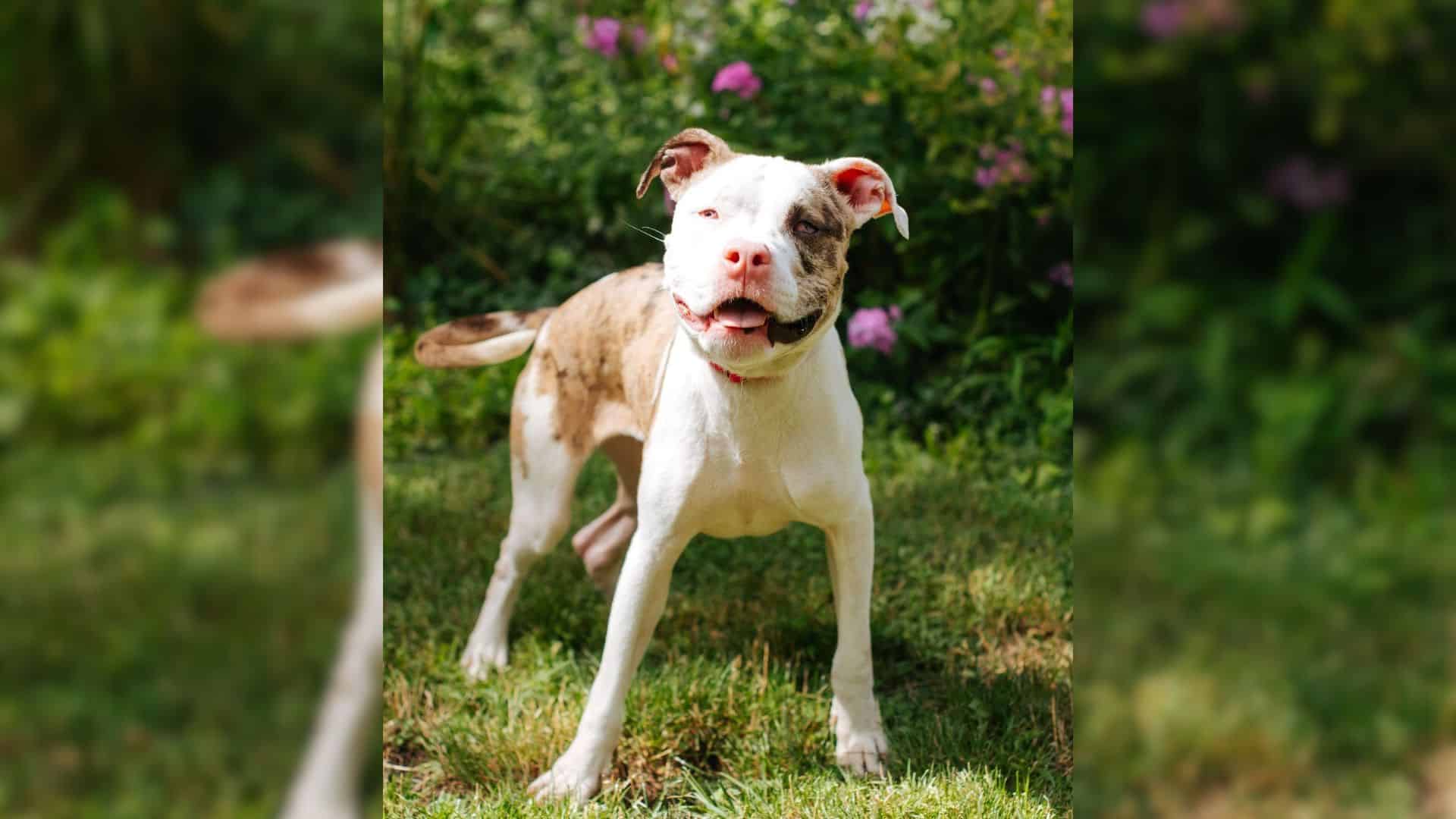 Take Nora, for example, a truly remarkab...