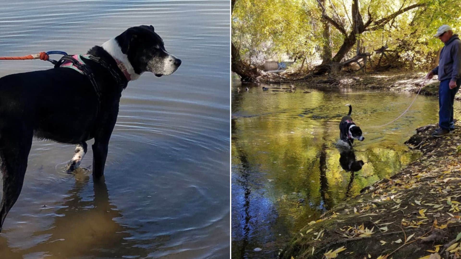 The couple initially thought perhaps the...