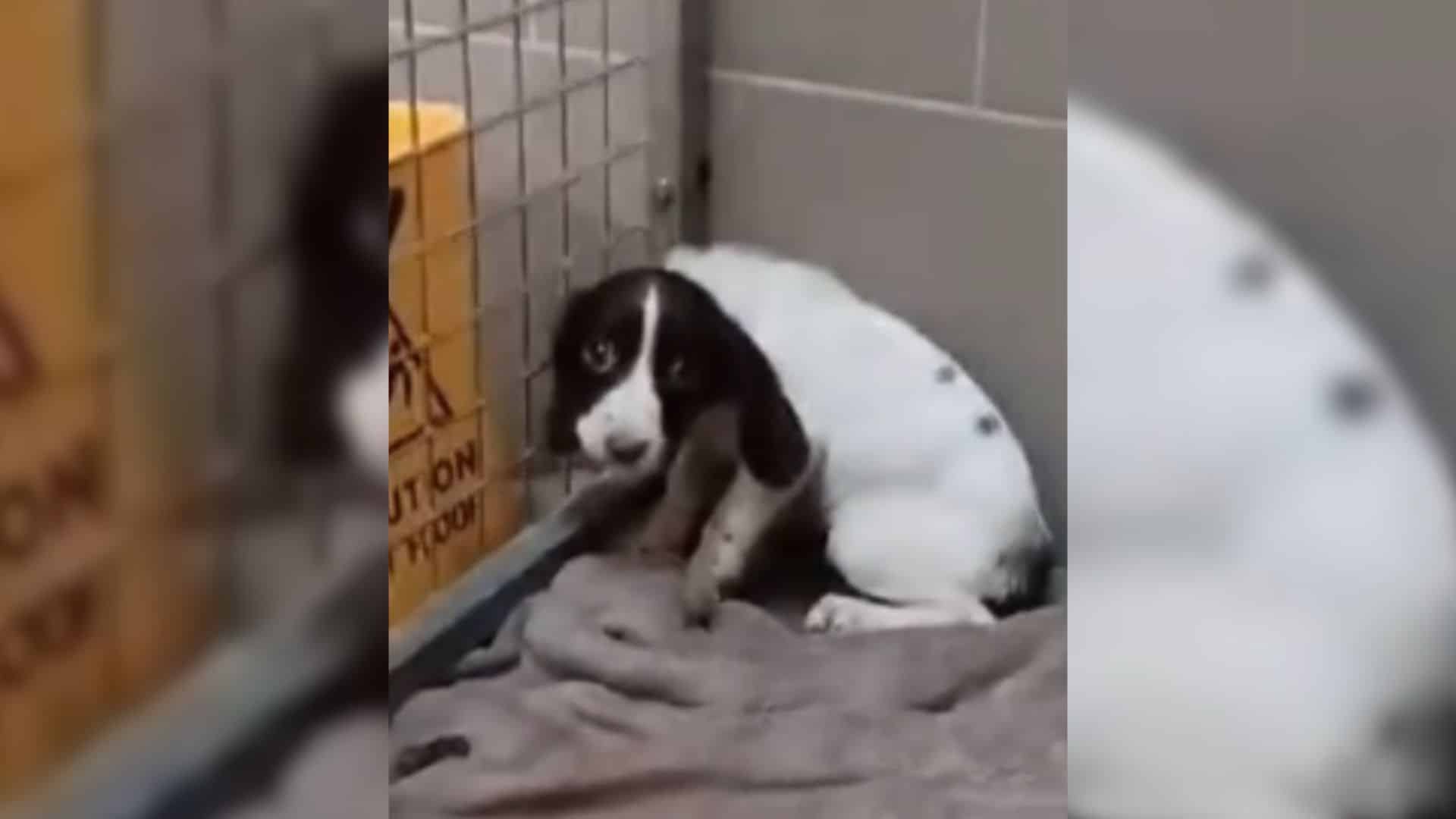 Among many such tales of mistreatment, o...