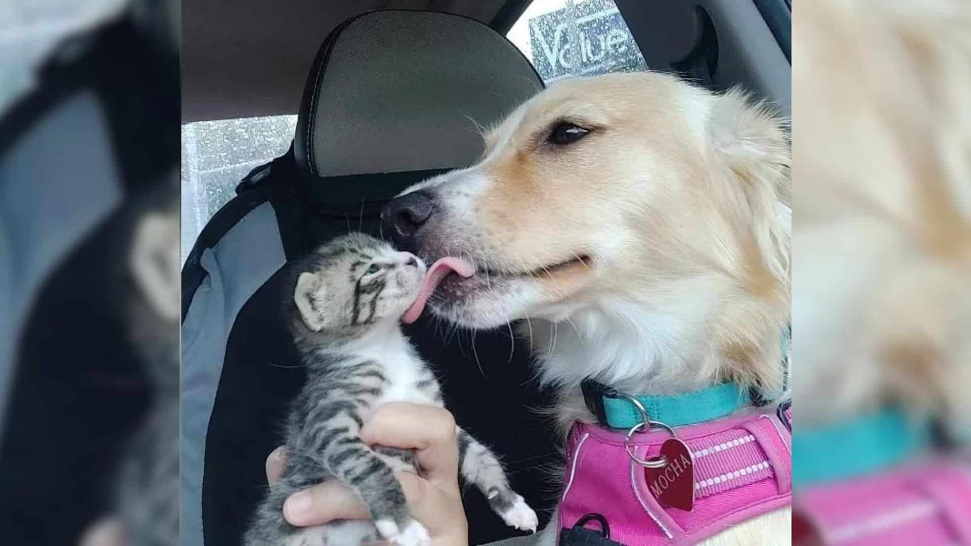 Mocha's journey began when Sabria Hector...