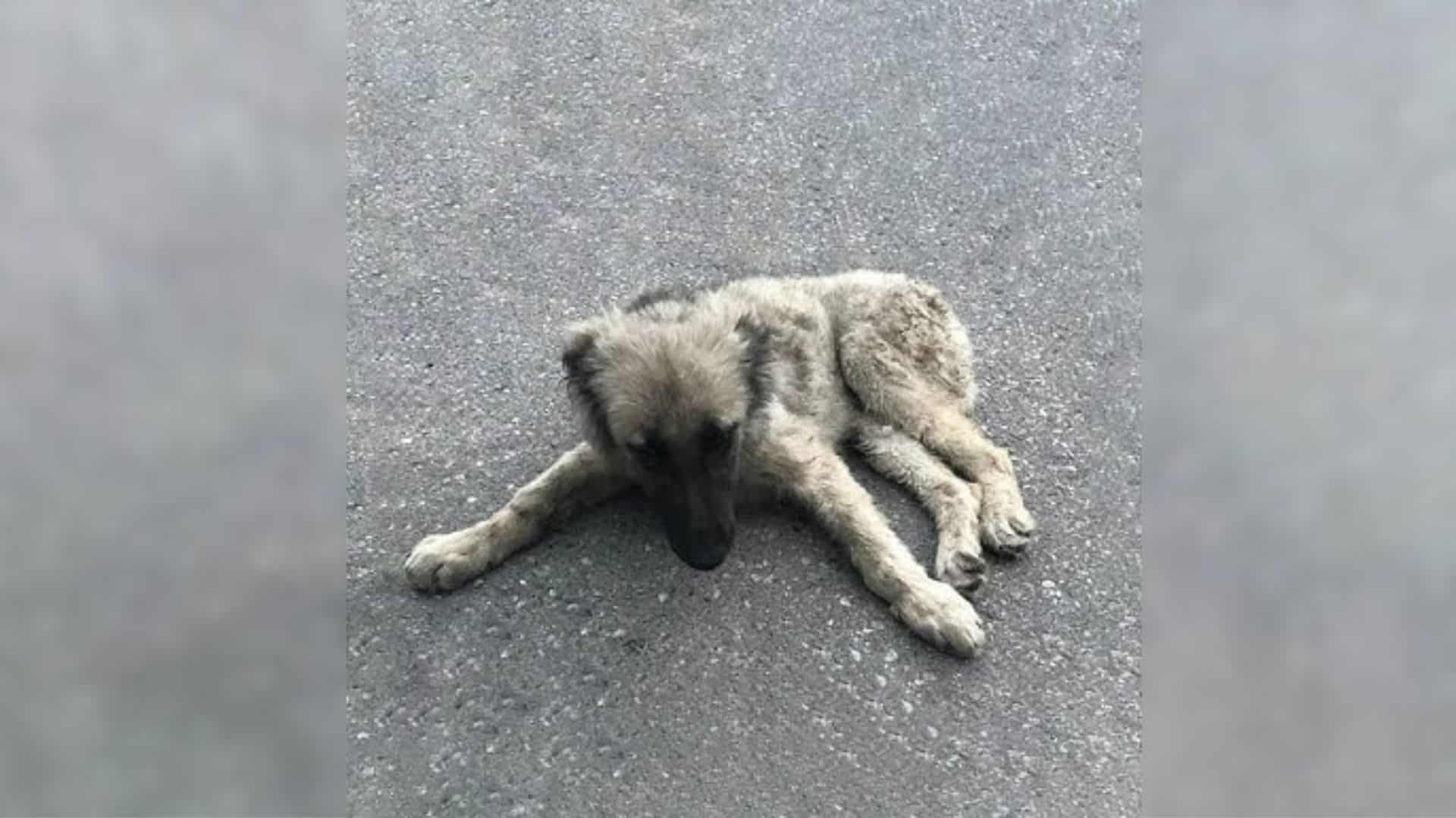 Despite the indifference surrounding her...