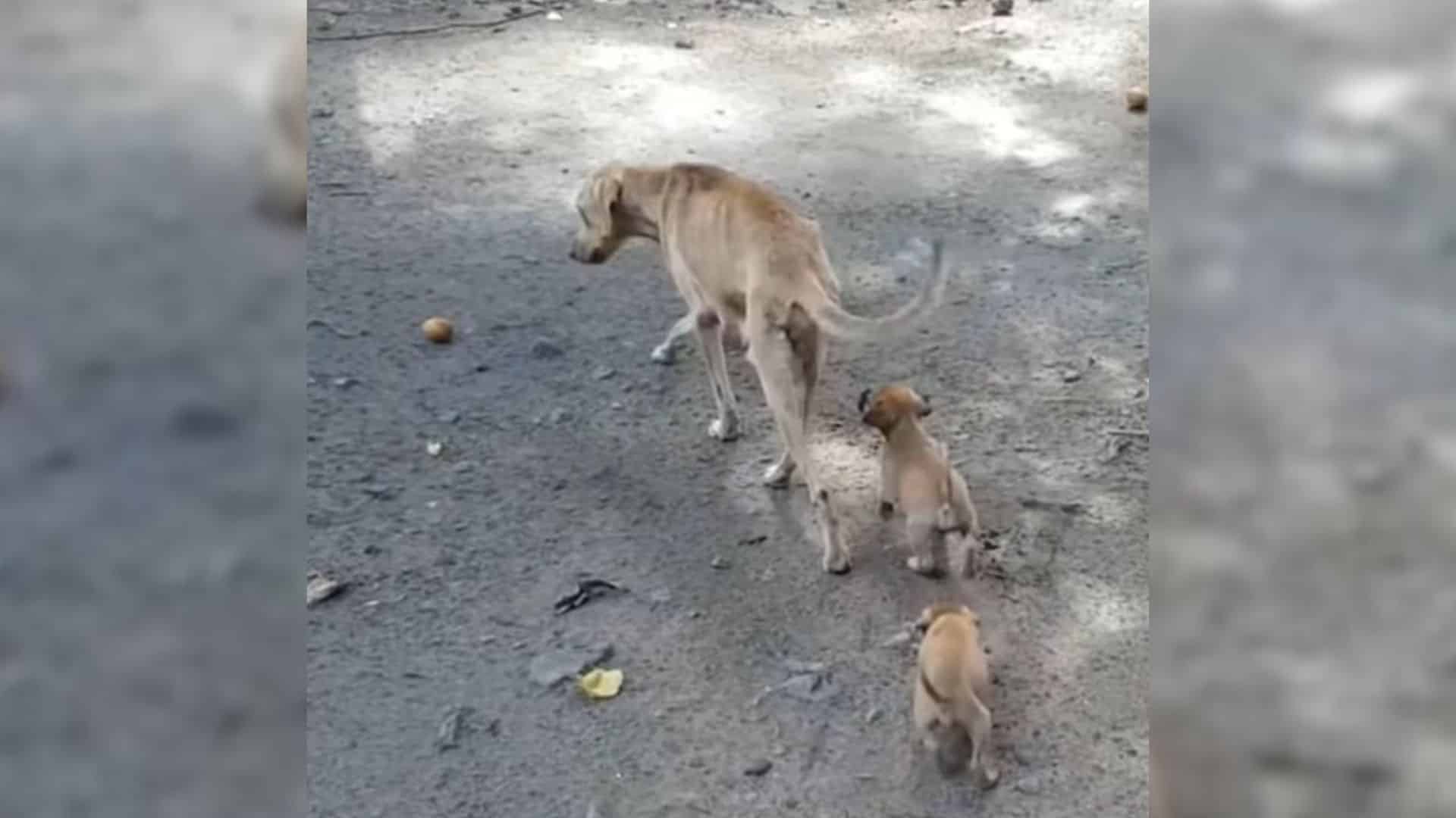 Fortuitously, a compassionate woman did ...