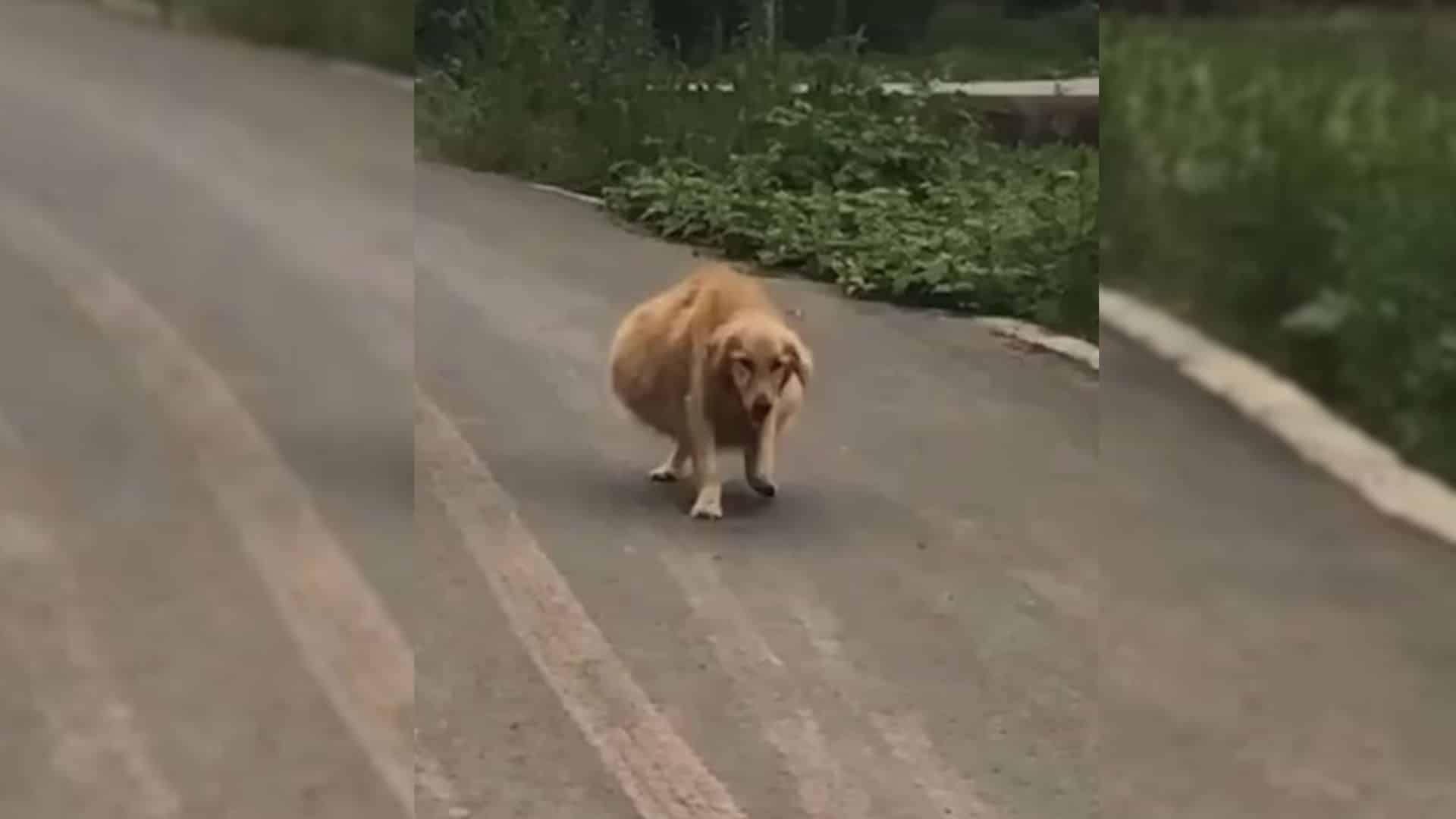 Moved by her plight, the group followed ...