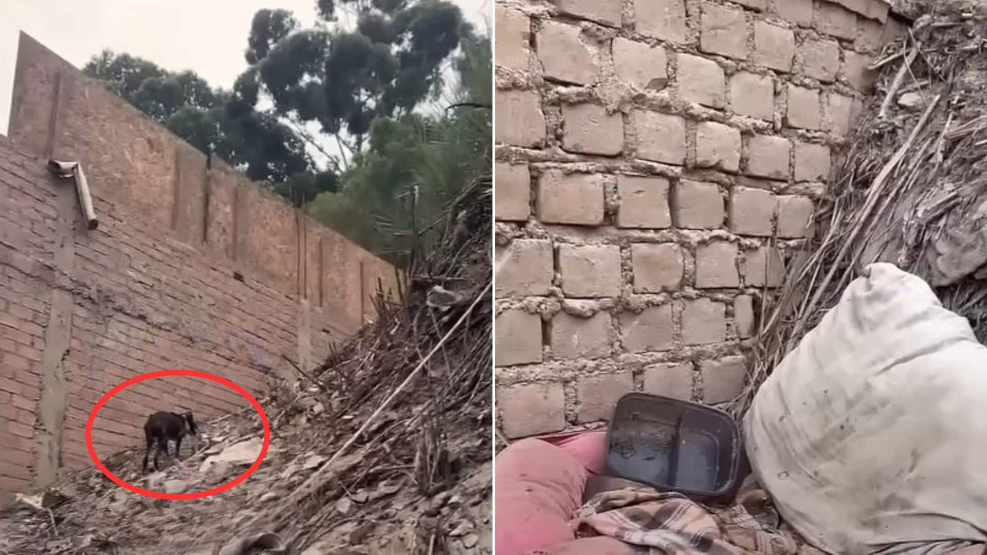 Take Bastian, for instance. After a deca...