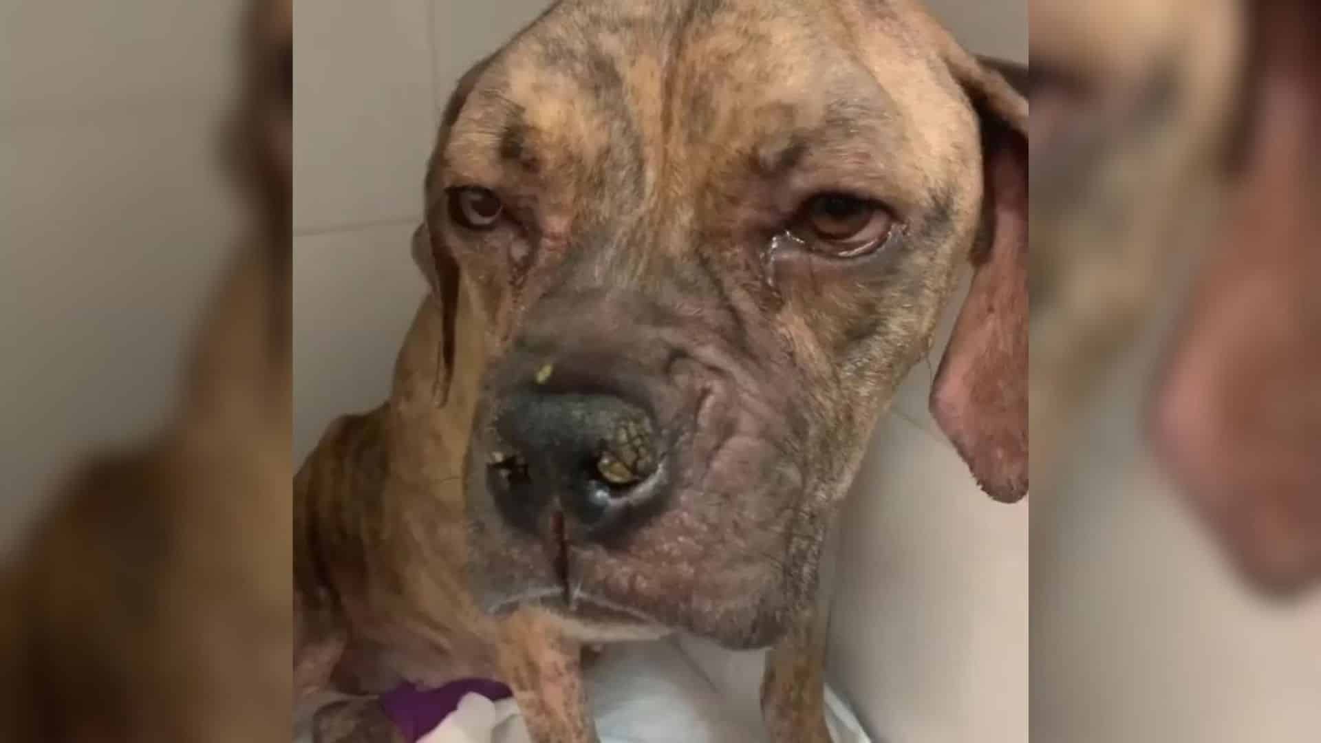 Sensing something was amiss, she approac...